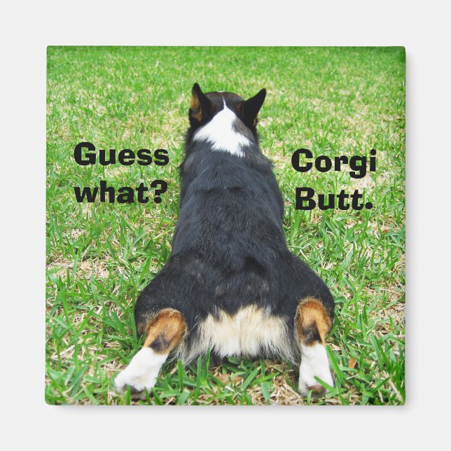 Funny Corgi Butt Magnet (Front)