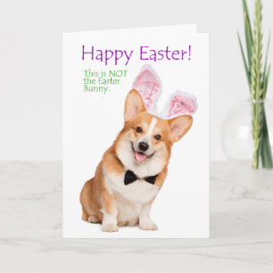 Funny Corgi Easter Card