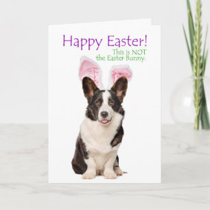 Funny Corgi Easter Card