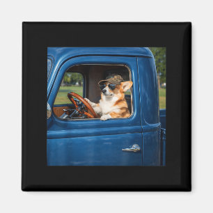 Funny corgi meme humourous dog driving truck road magnet