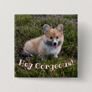 Funny Corgi Puppy Pun 15 Cm Square Badge