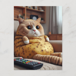 Funny Couch Potato Cat Postcard