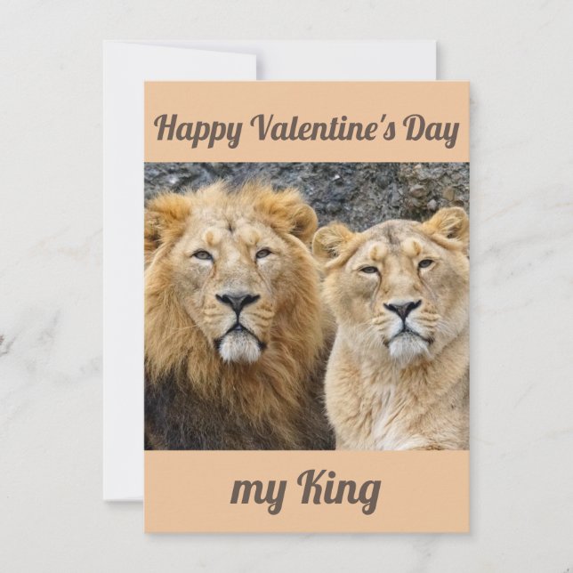 Funny couple lions valentines card (Front)