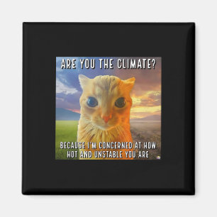 Funny Couple Valentine Orange Cat Meme Are You The Magnet