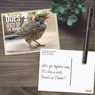 Funny Cover Text Bird Photo  Postcard