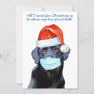 Funny Covid Face Mask Quarantine Dog Holiday Card