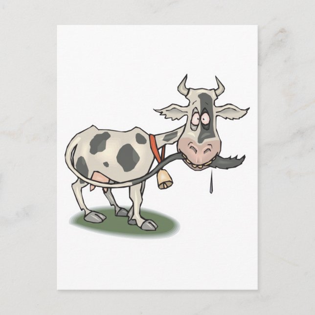 funny cow biting tail postcard (Front)