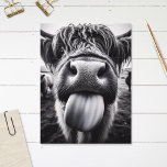 Funny Cow Black and White Postcard<br><div class="desc">Send smiles with our black and white postcard featuring a playful cow sticking out its tongue. Perfect for sharing laughs and warm greetings,  it's a delightful way to brighten someone's day with a touch of whimsy.</div>