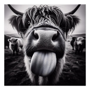 Funny Cow Black and White Poster