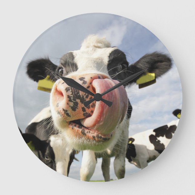 Funny cow clock (Front)