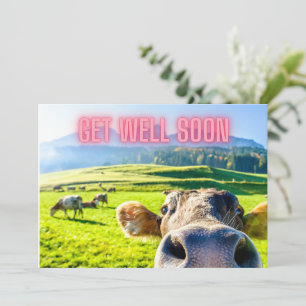 Funny Cow Get Well Soon  Card