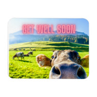Funny Cow Get Well Soon