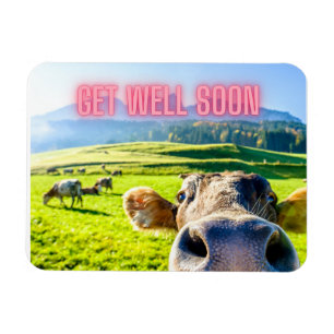 Funny Cow Get Well Soon Magnet