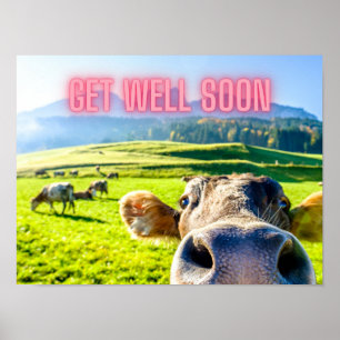 Funny Cow Get Well Soon  Poster