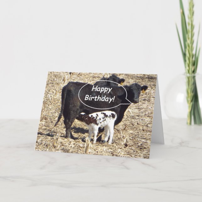 Funny Cow Happy Birthday Card (Front)