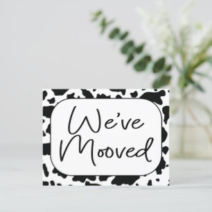 Funny Cow New Home Address We've Moved  Postcard