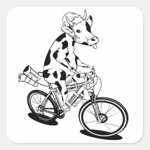 Funny cow riding a bike square sticker