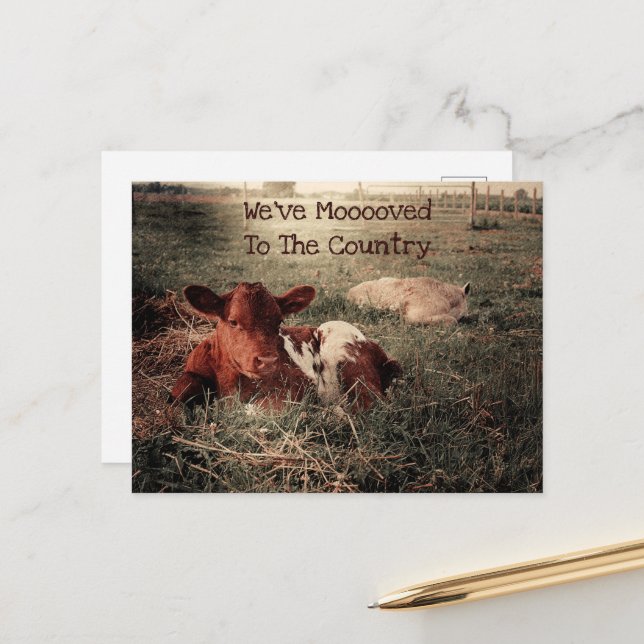 Funny Cow Rustic Country Farm Moving Announcement Postcard (Front/Back In Situ)