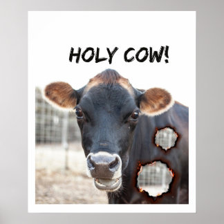 funny cow wall art