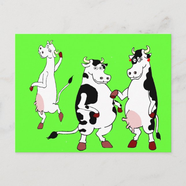 Funny cows cartoon postcard (Front)