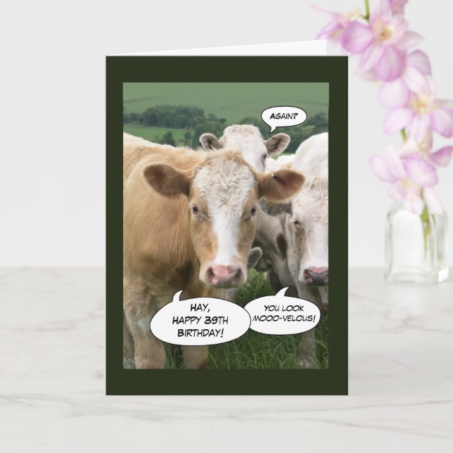 Funny Cows Happy Birthday for Her 39th Aging Card (Orchid)