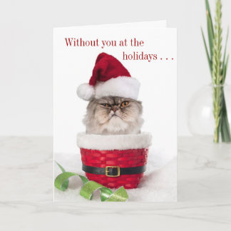 Funny Cranky Cat Christmas Cards