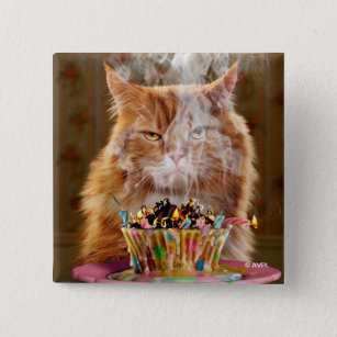 Funny Cranky Cat With Melted Birthday Cupcake 15 Cm Square Badge