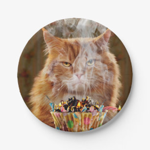 Funny Cranky Cat With Melted Birthday Cupcake Paper Plate