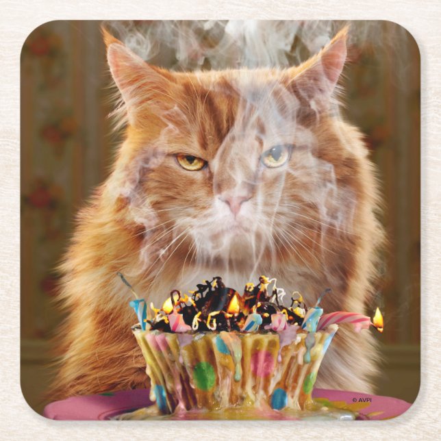 Funny Cranky Cat With Melted Birthday Cupcake Square Paper Coaster (Front)