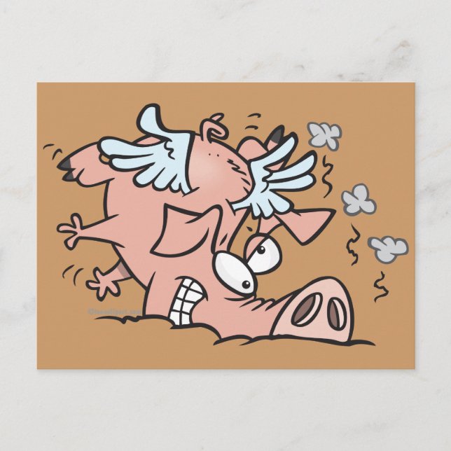funny crash landing flying pig cartoon postcard (Front)