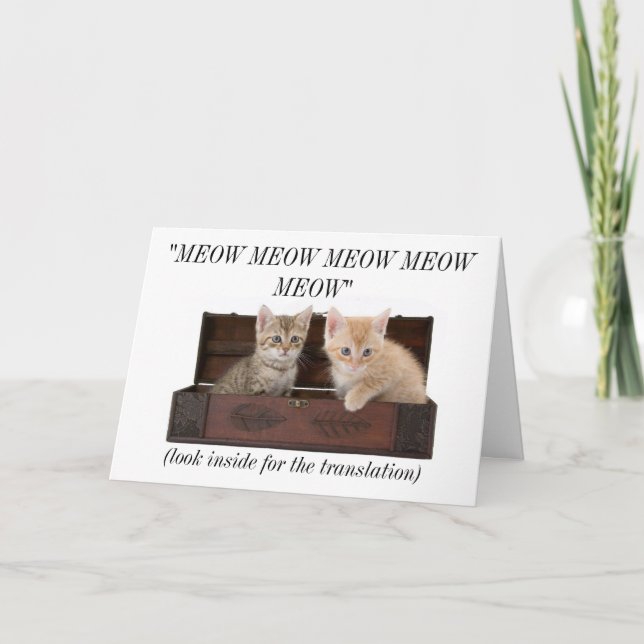 Funny Crazy Cat Lady Cat Lover Birthday Card (Front)