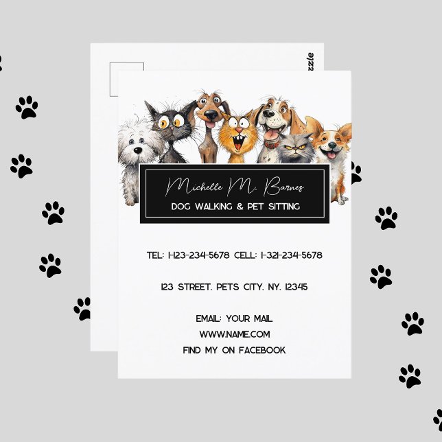 Funny Crazy Cats Dogs Pet Sitter Modern White Postcard (Creator Uploaded)