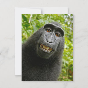 Funny Crested Monkey Card