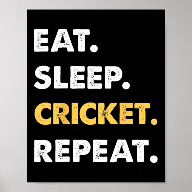 Funny Cricket Apparel Eat Sleep Cricket Repeat  Poster (Front)