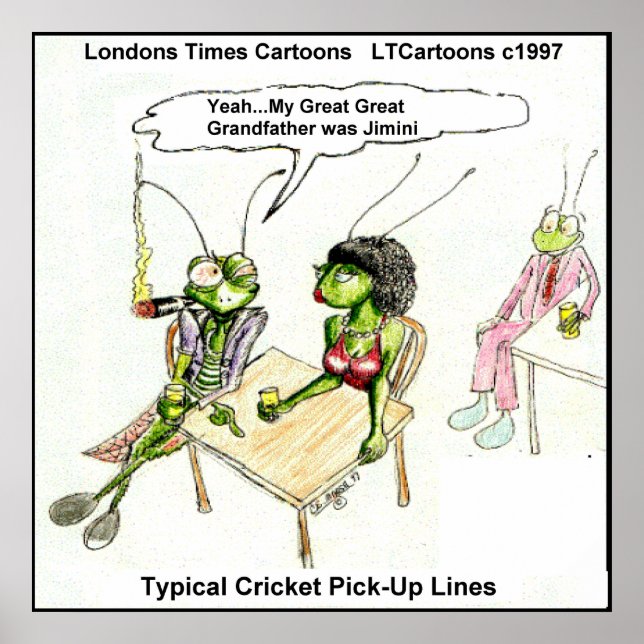 Funny Cricket Pick-Up Line Poster (Front)