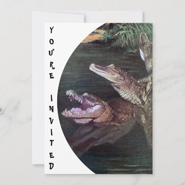 Funny Crocodiles Invitations (Front)