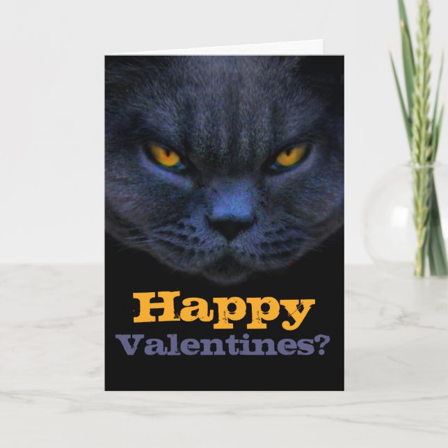 Funny Cross Cat Happy Valentines? Anti Valentine Holiday Card (Front)