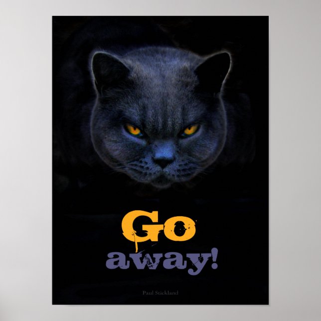 Funny Cross Cat says Go Away Poster (Front)