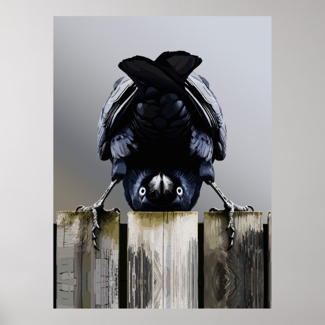 Funny Crow Wall Art – Upside-Down Bird  (Front)