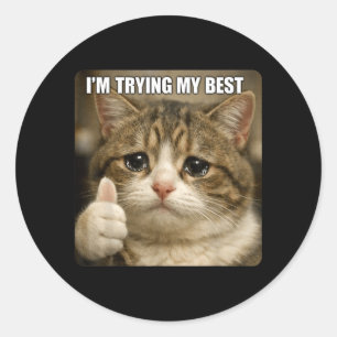 Funny Crying Cat Meme for Men Women Kids Test Day Classic Round Sticker