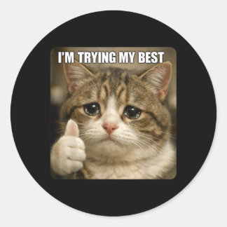 Funny Crying Cat Meme for Men Women Kids Test Day Classic Round Sticker
