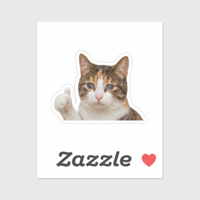 Funny Crying Cat Thumbs Up Meme Graphic (Sheet)