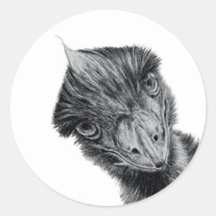 Funny Curious Emu – Black & White Bird Art Classic Round Sticker