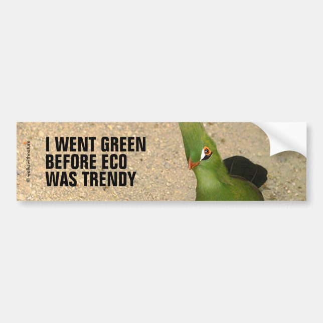 Funny Curious Guinea Turaco Green Bird Bumper Sticker (Front)