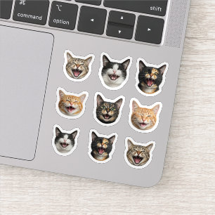 Funny Custom Cat Face – Personalised 9 Photos