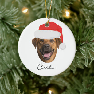 Funny Custom Dog Face & Name Santa Christmas Ceramic Tree Decoration