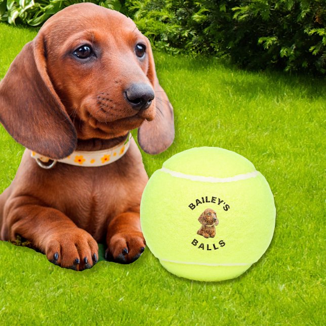 Funny Custom Dog Photo Tennis Balls (Funny Custom Dog Photo Tennis Balls
)