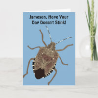 Funny Custom Message Personalised Stink Bug