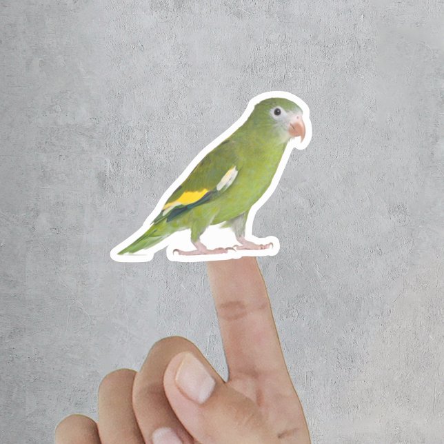 Funny Custom Pet Cut Out Photo (Funny Pet Cut Out Custom Photo Sticker
)