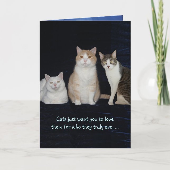 Funny Customisable Cats Card (Front)